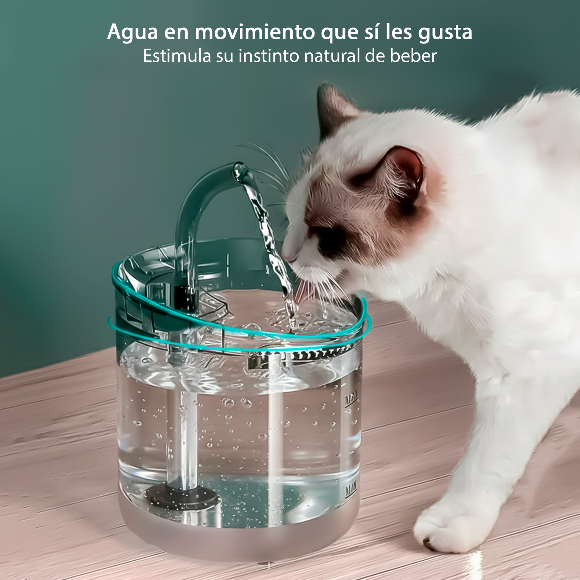 Fuente Automática de Agua para Mascotas - AquaBloom Pet™ - Caja de Compras